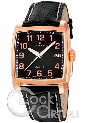 Мужские наручные часы Candino Elegance C4373.5