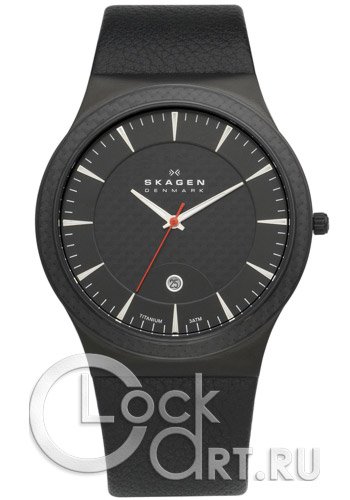 Мужские наручные часы Skagen Leather Titanium 234XXLTLB