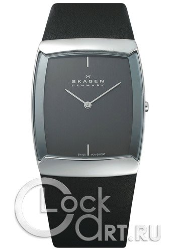 Мужские наручные часы Skagen Leather Swiss 584LSLM