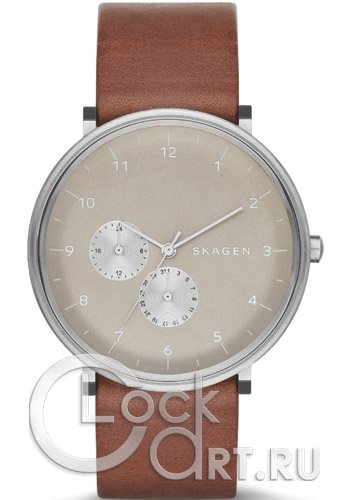 Мужские наручные часы Skagen Hald SKW6168