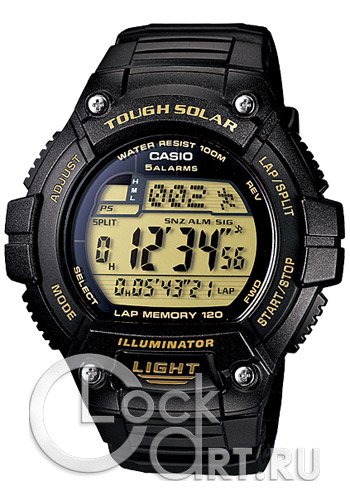 Мужские наручные часы Casio Outgear W-S220-9A