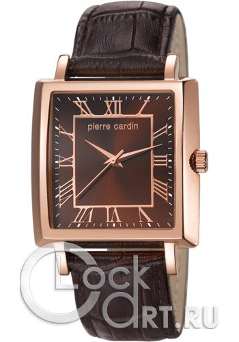 Мужские наручные часы Pierre Cardin Gents Quartz PC106141F04