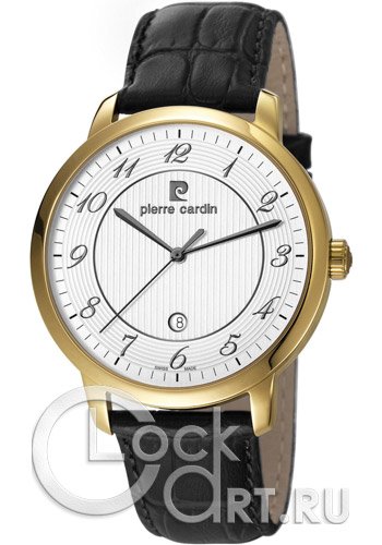 Мужские наручные часы Pierre Cardin Gents Quartz PC106311F04