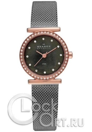 Женские наручные часы Skagen Mesh Classic 108SRM