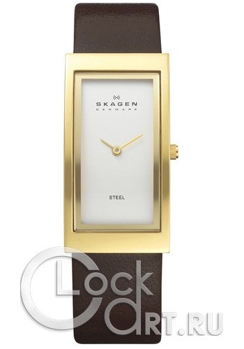 Женские наручные часы Skagen Leather Classic 359UGLD