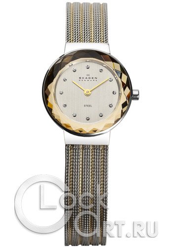Женские наручные часы Skagen Mesh Classic 456SGS1
