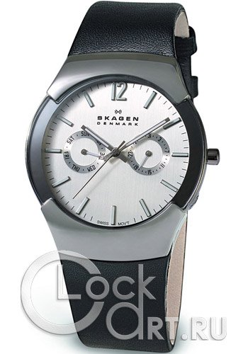Мужские наручные часы Skagen Leather Swiss 583XLSLC