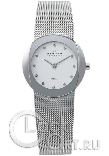 Женские наручные часы Skagen Mesh Classic 589SSS