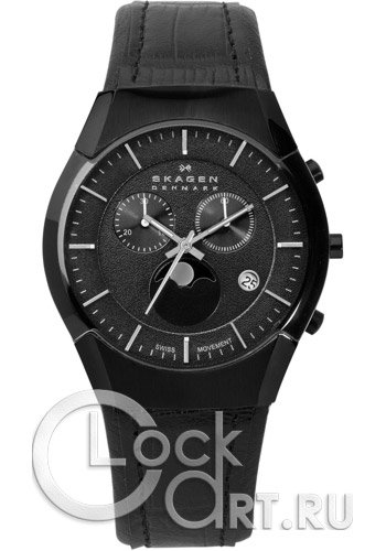 Мужские наручные часы Skagen Leather Swiss 901XLBLB