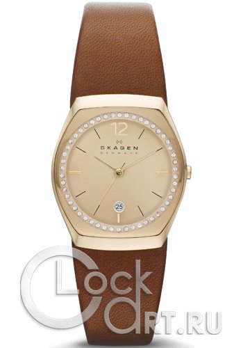 Женские наручные часы Skagen Leather Classic SKW2258