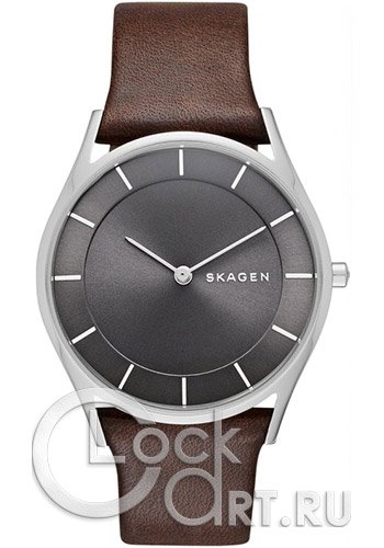 Женские наручные часы Skagen Holst SKW2343
