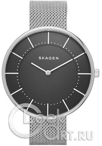 Женские наручные часы Skagen Gitte SKW2561