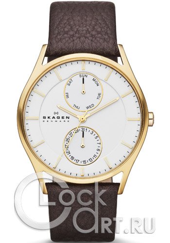 Мужские наручные часы Skagen Leather Classic SKW6066