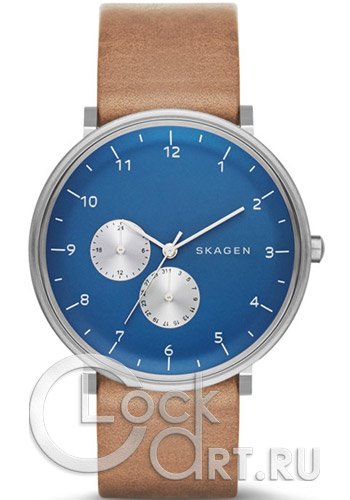 Мужские наручные часы Skagen Hald SKW6167