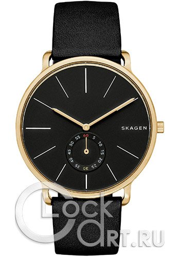 Мужские наручные часы Skagen Hagen SKW6217