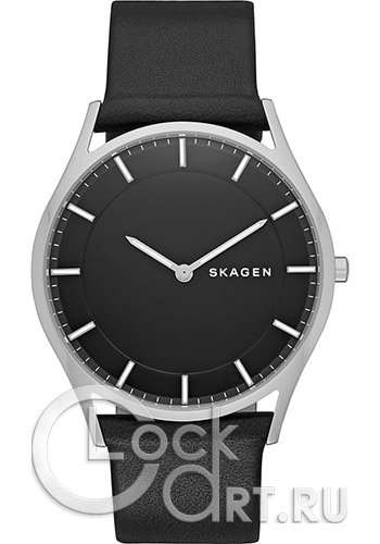 Мужские наручные часы Skagen Holst SKW6220