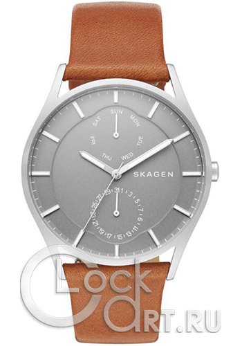 Мужские наручные часы Skagen Holst SKW6264
