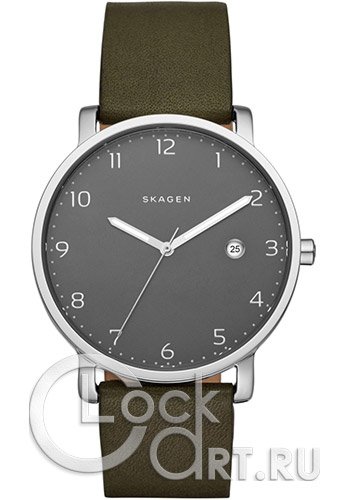 Мужские наручные часы Skagen Hagen SKW6306
