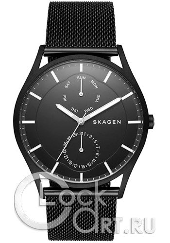 Мужские наручные часы Skagen Holst SKW6318
