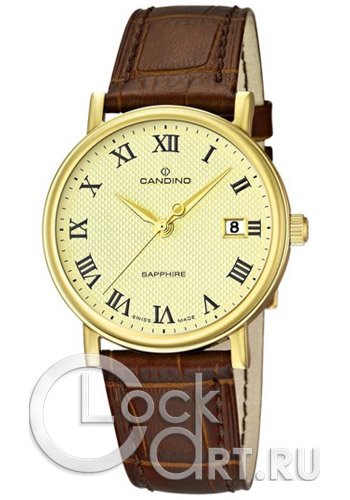 Мужские наручные часы Candino Classic C4489.4