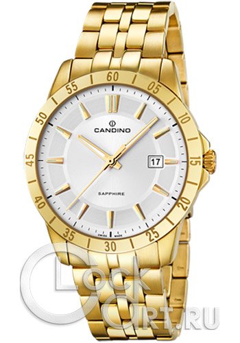 Мужские наручные часы Candino Casual C4515.1