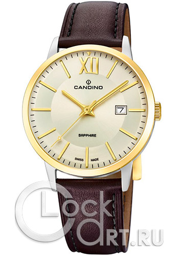 Мужские наручные часы Candino Classic C4619.1