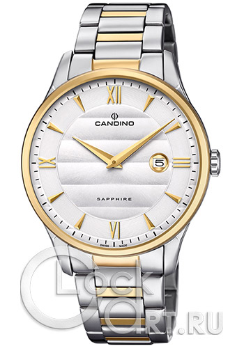 Мужские наручные часы Candino Casual C4639.1