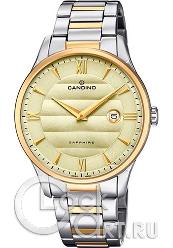 Мужские наручные часы Candino Casual C4639.2