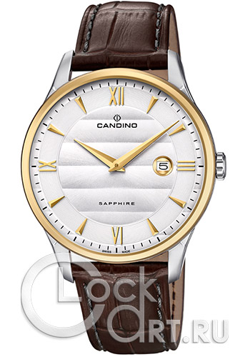 Мужские наручные часы Candino Casual C4640.1