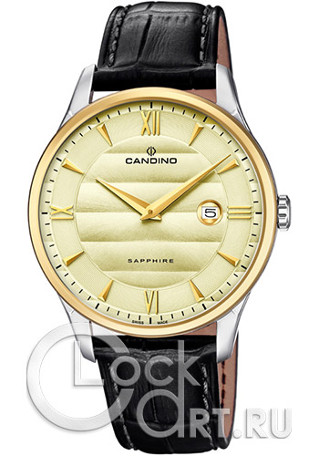 Мужские наручные часы Candino Casual C4640.2