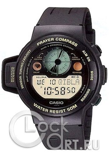 Мужские наручные часы Casio Outgear CPW-310-1V