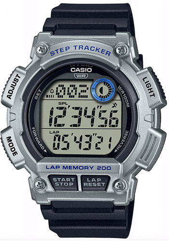 Мужские наручные часы Casio General WS-2100H-1A2