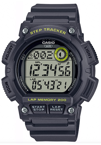 Мужские наручные часы Casio General WS-2100H-8A