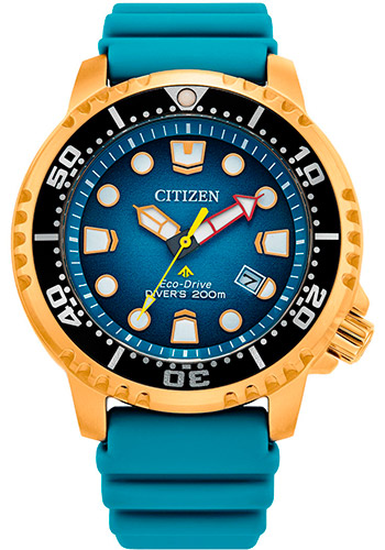 Мужские наручные часы Citizen Eco-Drive BN0162-02X