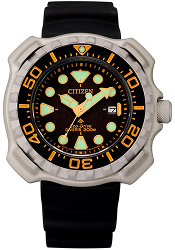 Мужские наручные часы Citizen Eco-Drive BN0220-16E