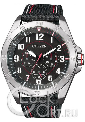 Мужские наручные часы Citizen Eco-Drive BU2030-17E