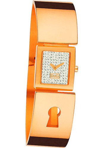 Женские наручные часы Dolce Gabbana Spy Me DW0253
