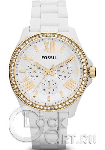 Женские наручные часы Fossil Cecile AM4493