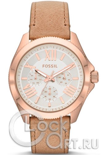 Женские наручные часы Fossil Cecile AM4532