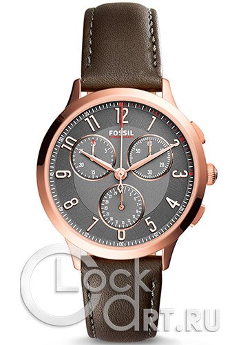 Женские наручные часы Fossil Abilene CH3099