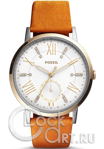 Женские наручные часы Fossil Gazer ES4161