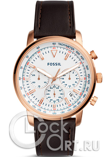 Мужские наручные часы Fossil Goodwin FS5415