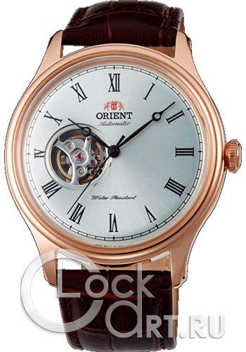 Мужские наручные часы Orient Automatic AG00001S