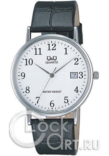 Мужские наручные часы Q&Q Analog BL04J304Y