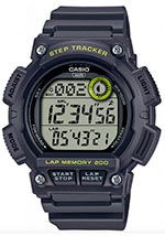 Мужские наручные часы Casio General WS-2100H-8A