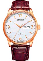 Мужские наручные часы Citizen Eco-Drive BM8553-16A