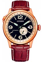 Мужские наручные часы Citizen Mechanic NJ0143-19E