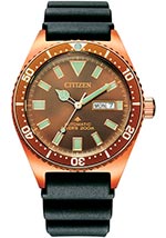 Мужские наручные часы Citizen Mechanic NY0125-08W