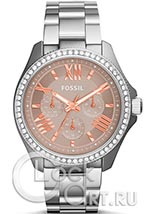 Женские наручные часы Fossil Cecile AM4628