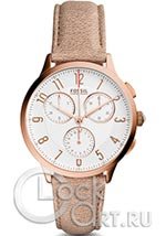 Женские наручные часы Fossil Abilene CH3016